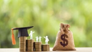 How Does Third Party Litigation Funding Work